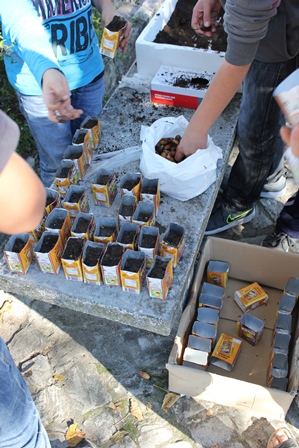 dia mundial bolota sementeira 2