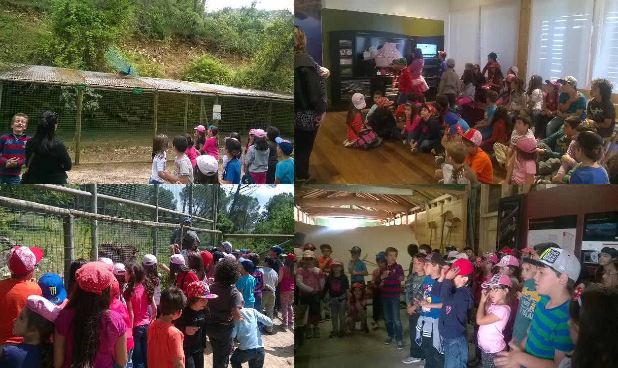 visita do ji